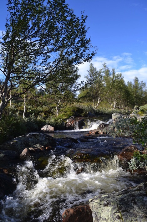 River with bathing pool, Rondane National Park